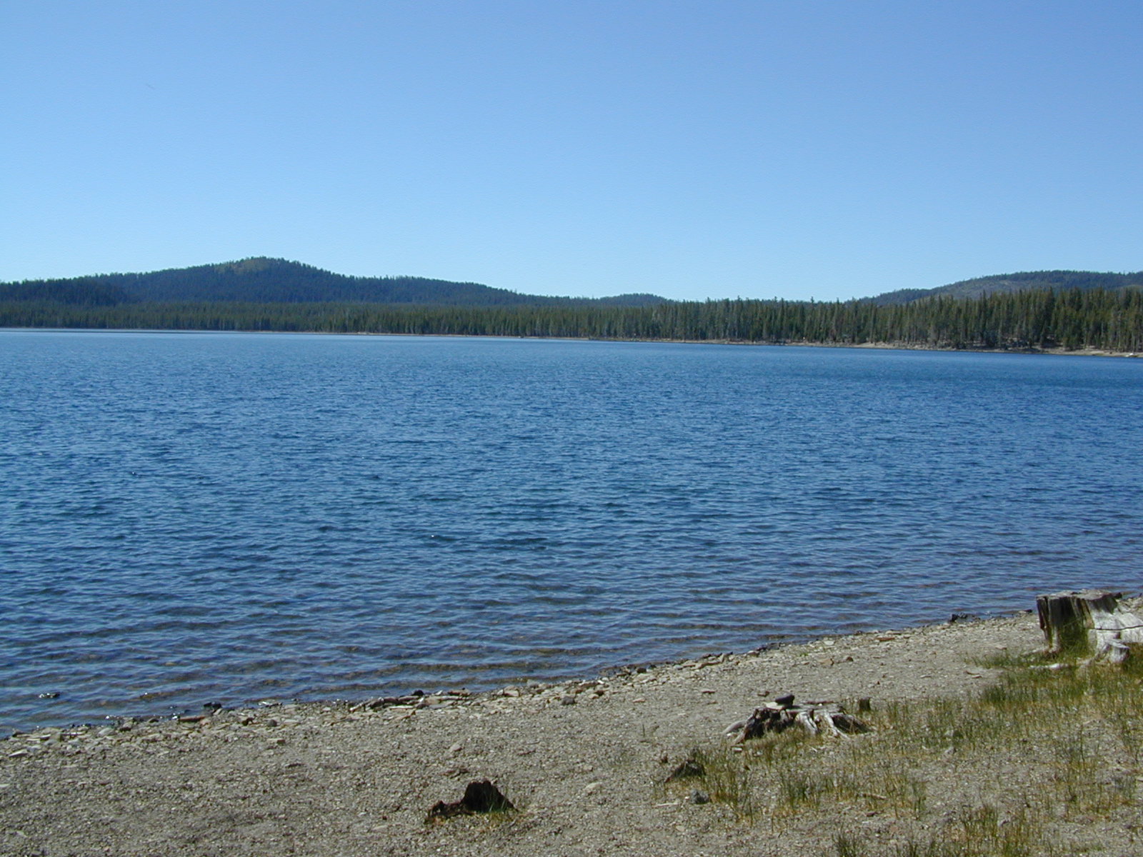 Medicine Lake, California